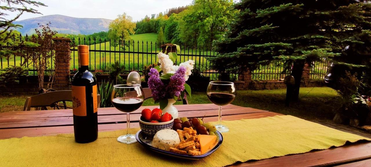 Gorski Widok Karpacz Apartamenty I Pokoje- Salon Kominkowy ภายนอก รูปภาพ