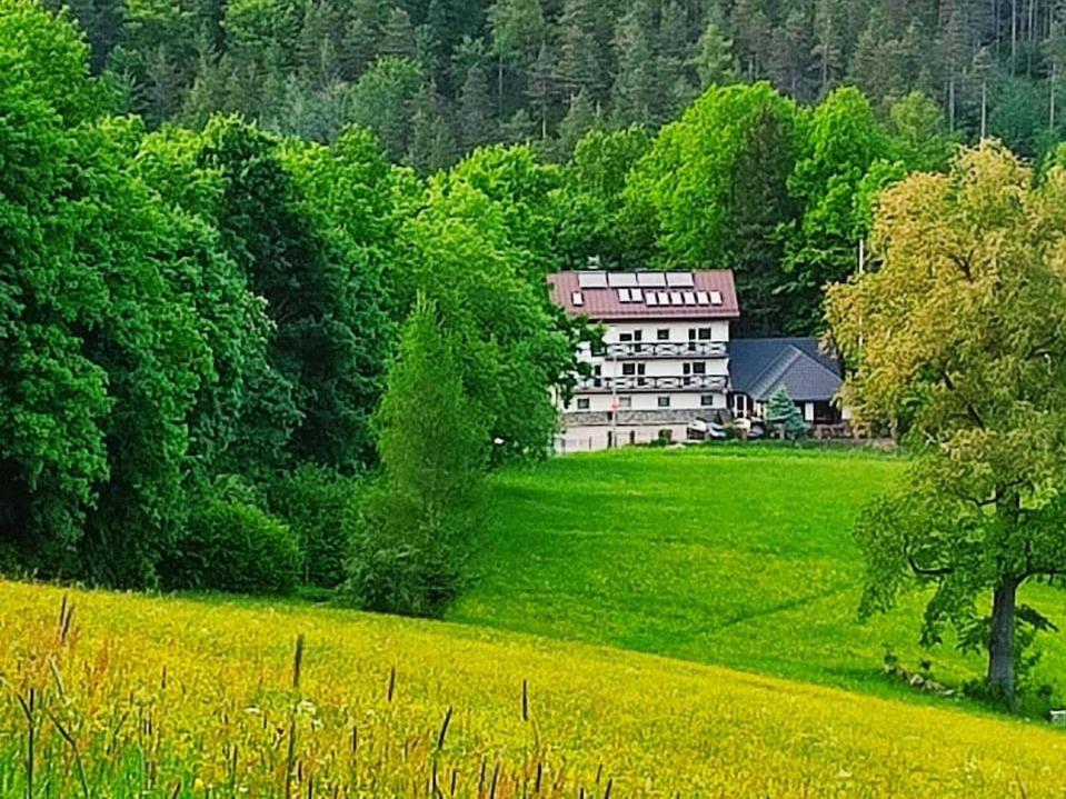 Gorski Widok Karpacz Apartamenty I Pokoje- Salon Kominkowy ภายนอก รูปภาพ